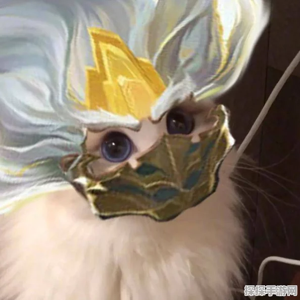 王者荣耀猫咪五岳皮肤接头头像全揭秘，独特设计与背后故事
