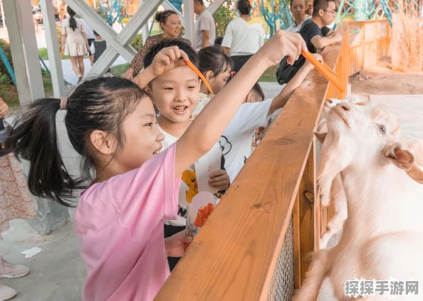 方舟手游巨型袋鼠刷新地及游戏掉线角色丢失问题详解