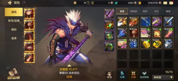 DNF手游资讯，深入解析黑暗武士的伤害类型