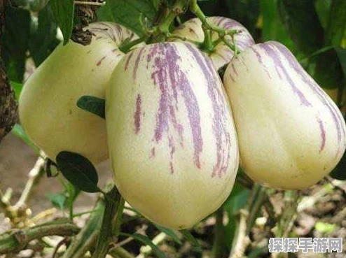 疯狂梗传小小唐僧通关全攻略