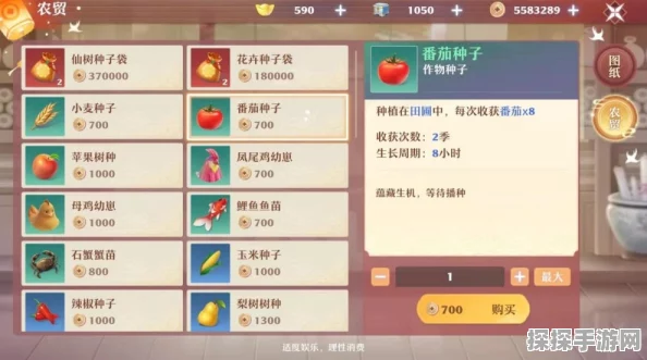梦幻新诛仙造型编号宝典，男女靓装全收录与高效资源管理技巧