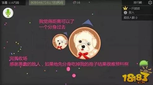 球球大作战雪媚娘孢子获取攻略，解锁可爱小兔子的秘密