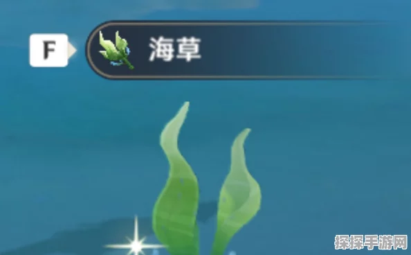 原神海草高效采集路线全攻略