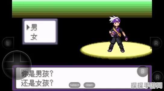 口袋妖怪之漆黑的魅影5，瞬移作弊码全攻略