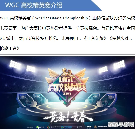 手游资讯，广东财经大学荣获WGC高校精英赛王者荣耀总冠军