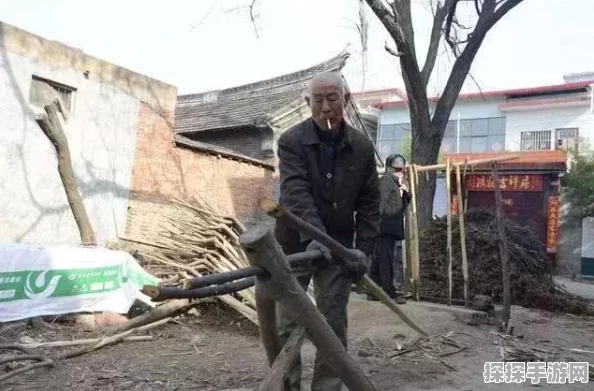 第五人格不归林地窖位置详解，全面攻略与技巧