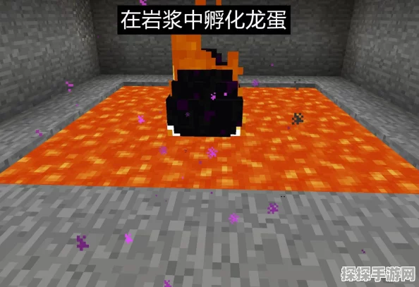 我的世界手游创造模式，揭秘末影龙蛋的孵化奥秘