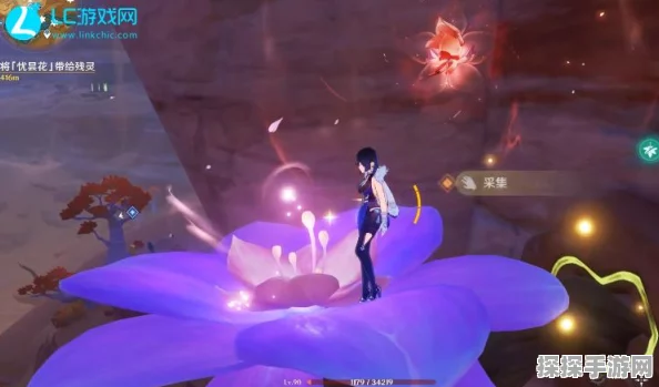 探寻原神中的优昙花，优昙花采摘地点详解与指南