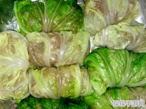 疯狂梗传肉包子铺，从新手到大师的全方位通关攻略手游资讯