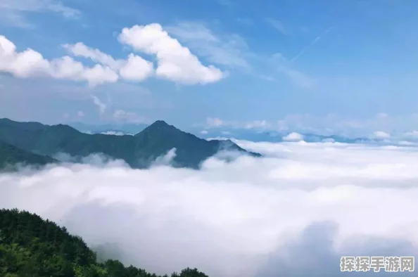 仙境传说新启航，职业强度解析与手游资讯速递