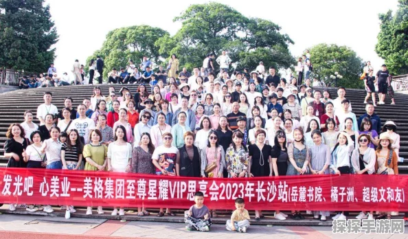 仙境传说新启航，职业强度解析与手游资讯速递