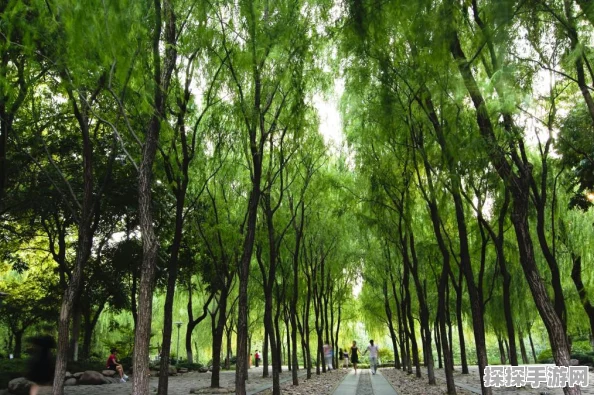 江南百景图新景揭秘，柳浪闻莺手游资讯深度解析