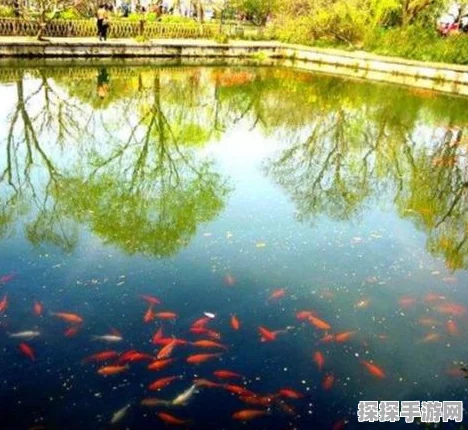 江南百景图新景揭秘，柳浪闻莺手游资讯深度解析