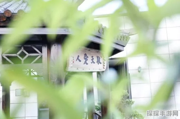 无期迷途，恩菲尔抽取价值深度解析
