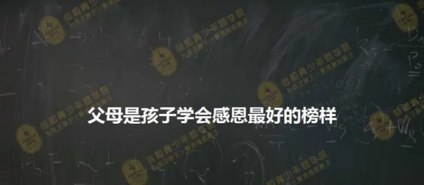 无期迷途，恩菲尔抽取价值深度解析