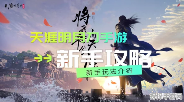 天涯明月刀手游新服开启频率全解析