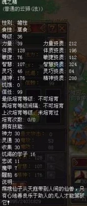 幻塔D2遗迹密码揭秘，轻松解锁宝藏之门