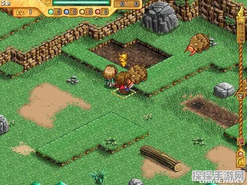 我的世界传说区域建筑及NPC深度解析，探索无尽创意的奇妙之旅
