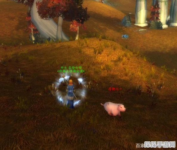 魔兽世界LM法师变形术新技能解锁，变猪与变乌龟全攻略