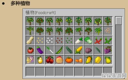 我的世界料理工艺MOD，解锁全新美食合成之旅