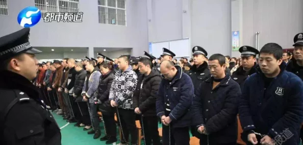 黑色沙漠手游进不去？这里有全面解决方案