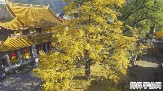 王者荣耀小地图右侧显示功能详解，提升游戏体验的新变革