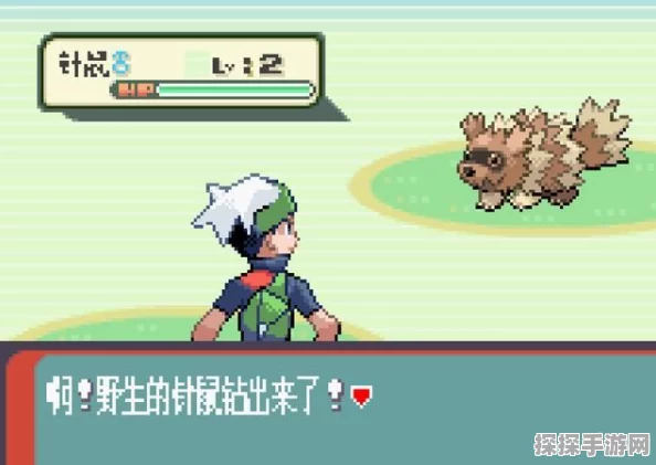 口袋妖怪叶炎，探险与收集的奇幻之旅新版本更新深度解析