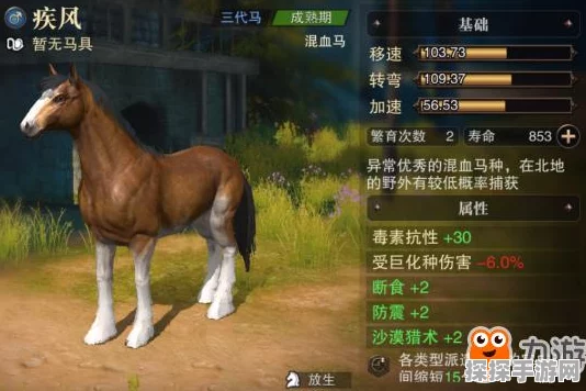 猎魂觉醒五代马繁育全攻略，高效策略与实用技巧详解