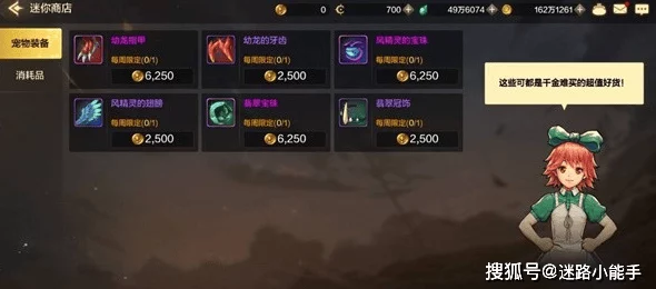 DNF手游宠物装备获取全攻略，解锁战力新高度