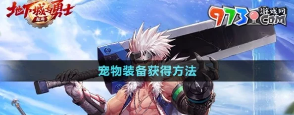 DNF手游宠物装备获取全攻略，解锁战力新高度