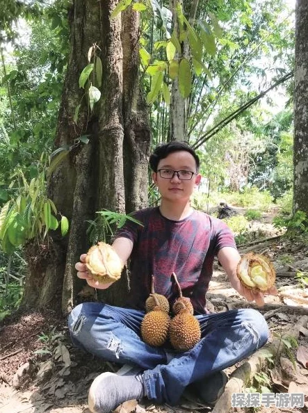 魔兽世界乌龟服猎人技能天赋大改，手游界再掀波澜