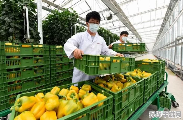 王者荣耀蔬菜精灵联动皮肤惊喜爆料，上线时间、设计细节及获取方式全面解析
