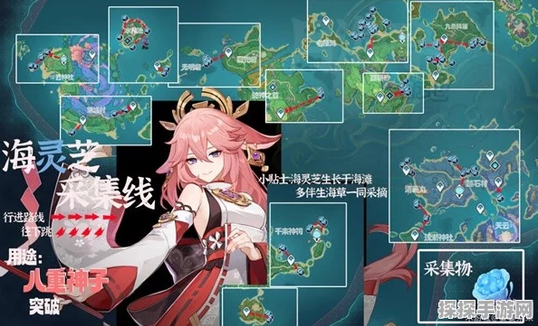 原神八重神子突破材料海灵芝采集路线全攻略
