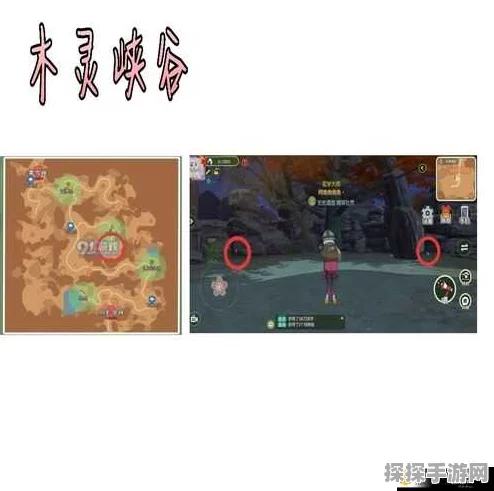 手游资讯，小森生活木灵峡谷探险装备指南