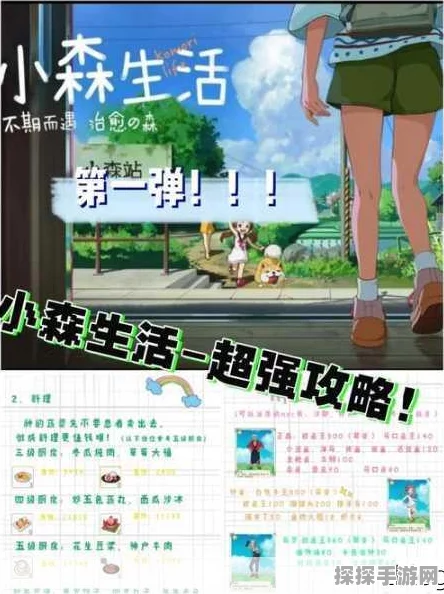 手游资讯，小森生活木灵峡谷探险装备指南