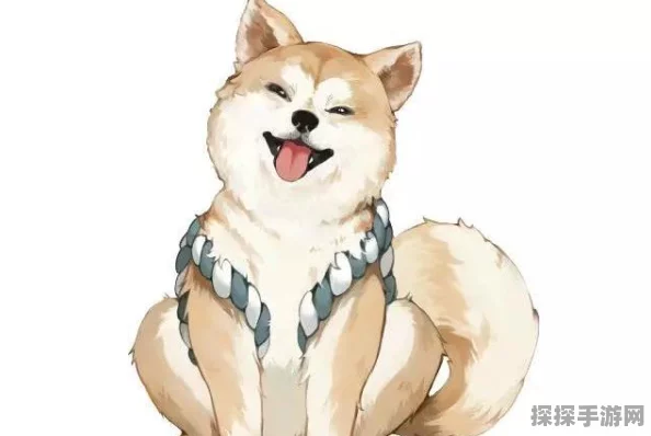 阴阳师手游，秋田犬全解析及资源管理技巧