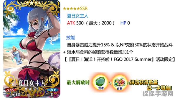 FGO概念礼装升级全攻略，揭秘升级所需素材与高效方法