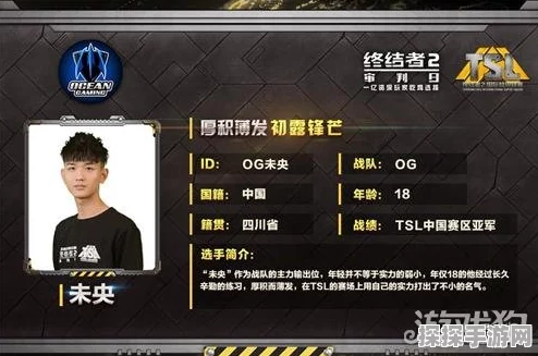 华人战队OG荣耀登顶，终结者2TSL全球总决赛圆满收官