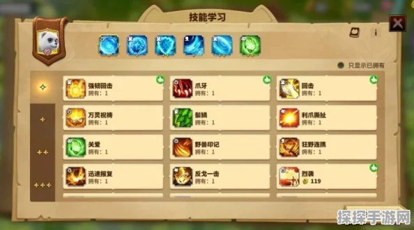 万龙觉醒，探寻最强宠物与搭配攻略