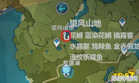 原神金赤假龙钓取位置全攻略