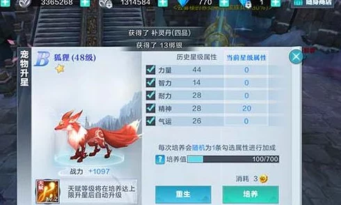 雪鹰领主手游剑士最佳宠物搭配指南，揭秘宠物推荐与选择策略