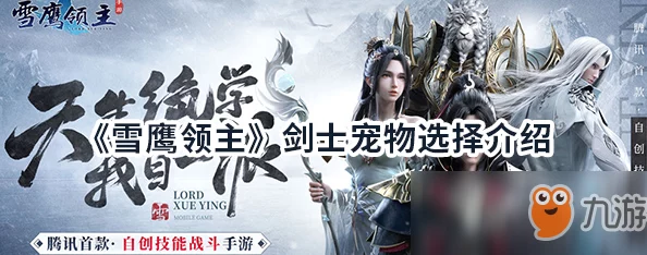 雪鹰领主手游剑士最佳宠物搭配指南，揭秘宠物推荐与选择策略