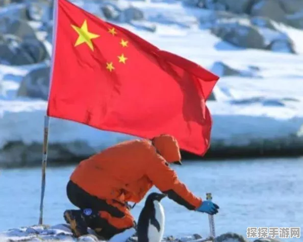 航海王启航物理巅峰副本通关攻略