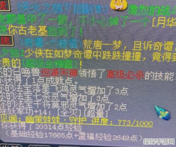 梦幻西游85级宠物巡游天神震撼登场，资源管理与高效利用策略全解析