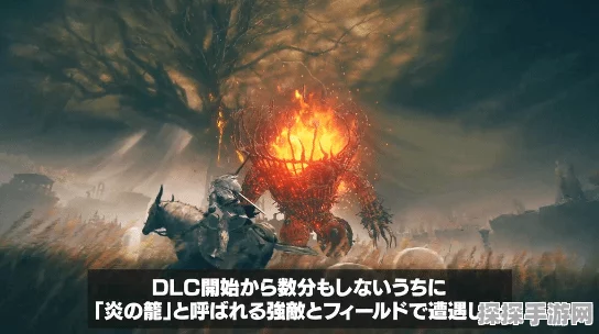 老头环DLC新BOSS震撼登场，FF14或将登陆NS新机引发热议