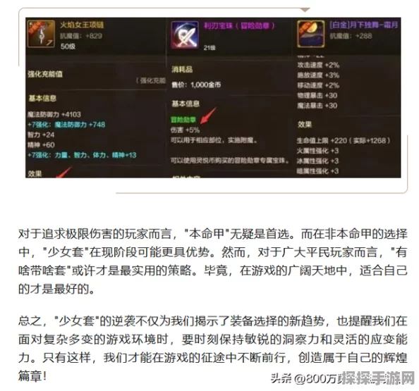 DNF手游战术套深度解析，是否值得你投资？