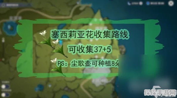 原神草神拉肚子梗引热议，快速止泻药成玩家新宠？手游资讯速递