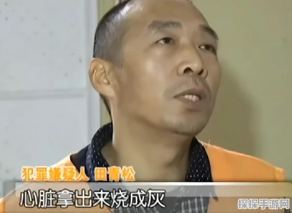 闪烁之光五系菜刀队新版本更新深度解析