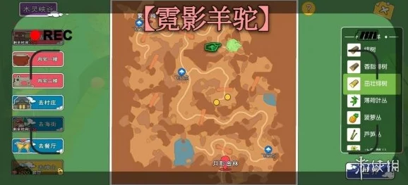 手游资讯，小森生活探索——彩色羊驼分布位置与资源管理高效策略揭秘