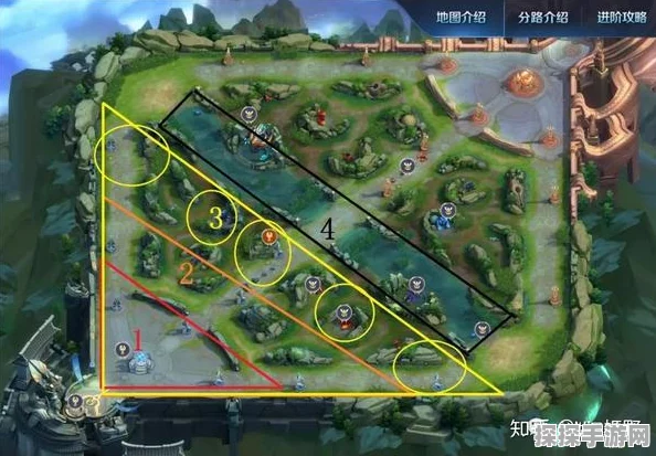 王者荣耀分路调整深度解析，战术布局迎来新变革